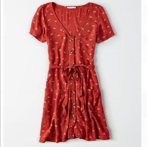 NWT AE babydoll button up dress